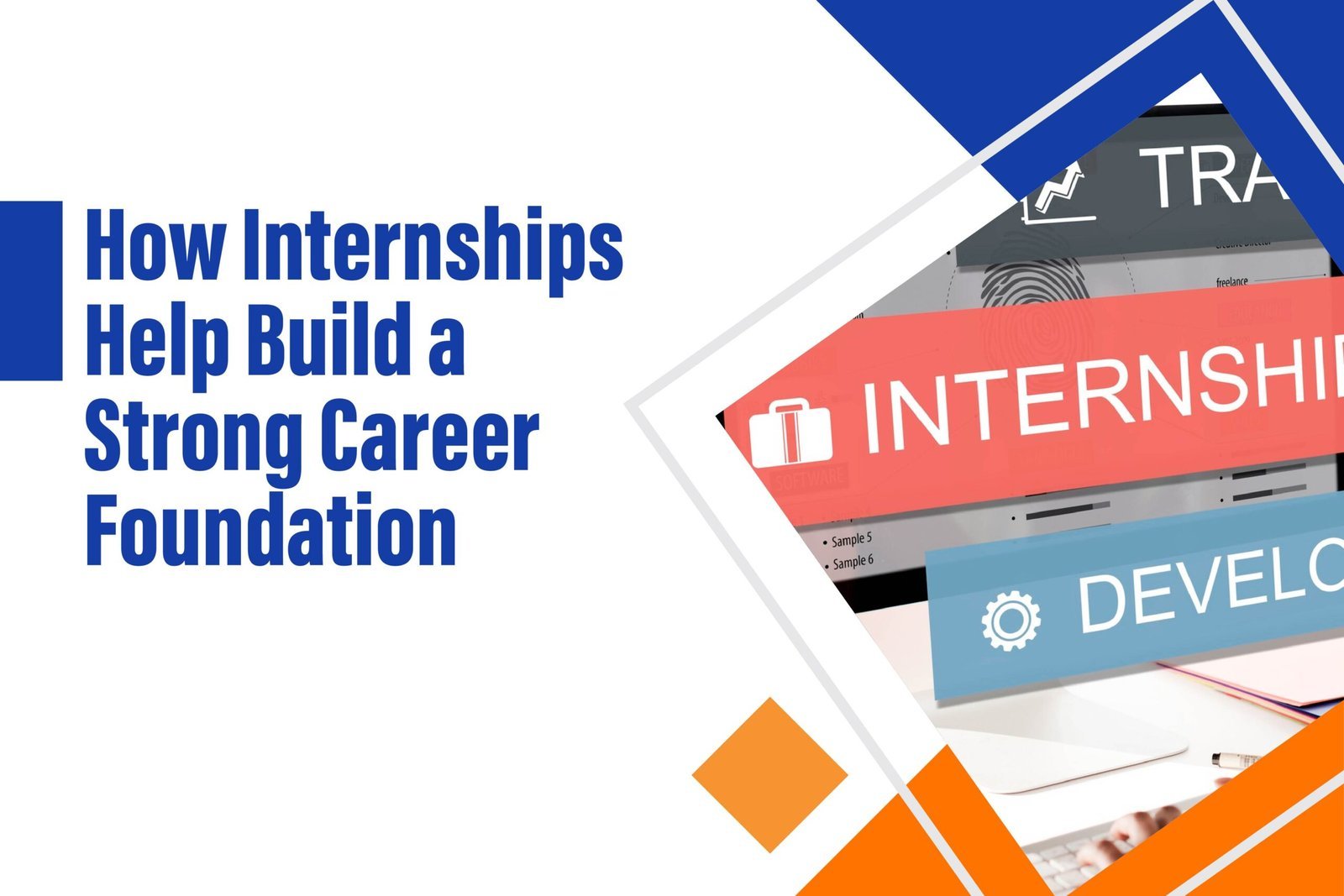 The Importance of Internships in Career Building